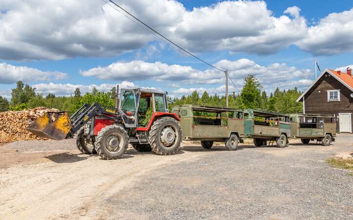 Safaritour Elchpark Nybro