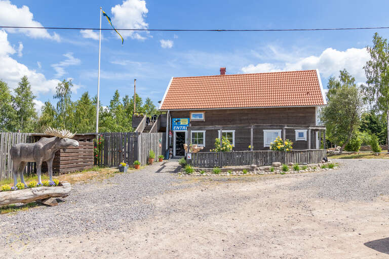 Elchpark Nybro Elchpark bei Nybro