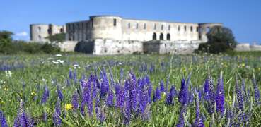 Burgruine auf Öland