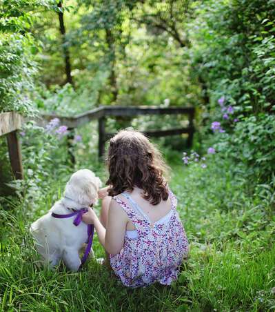 Urlaub mit Hund in Schweden