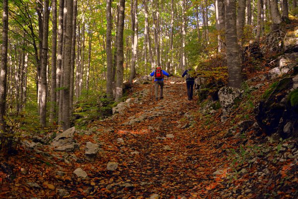 Wandern in Schweden