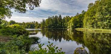 Traumhaftes Plätzchen am See