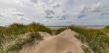 Sanddüne in Halland