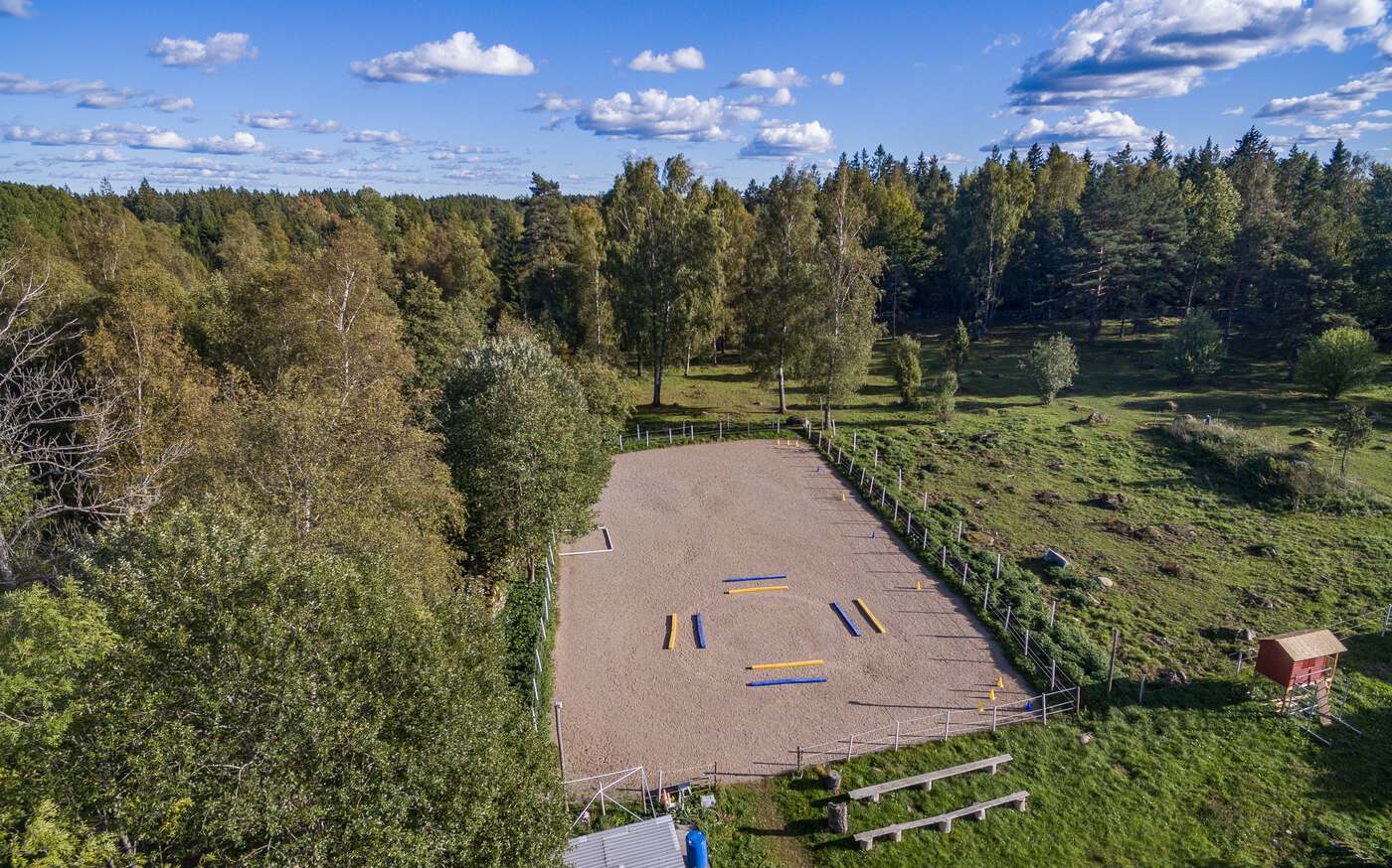 Texas auf einer Ranch in Südschweden – bild 6 av 7
