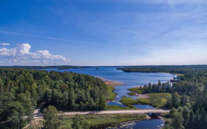 Blick auf den See Fegen