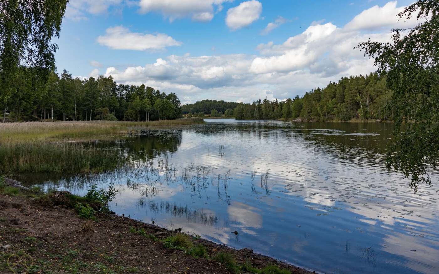 Baldershage in Östergötland – bild 17 av 20