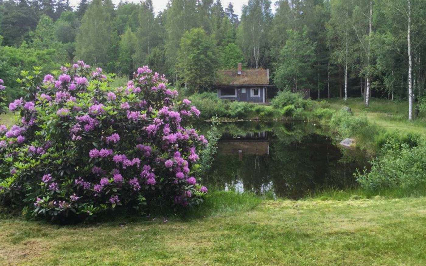 Enelyckan in einsamer Lage in Småland – bild 2 av 8