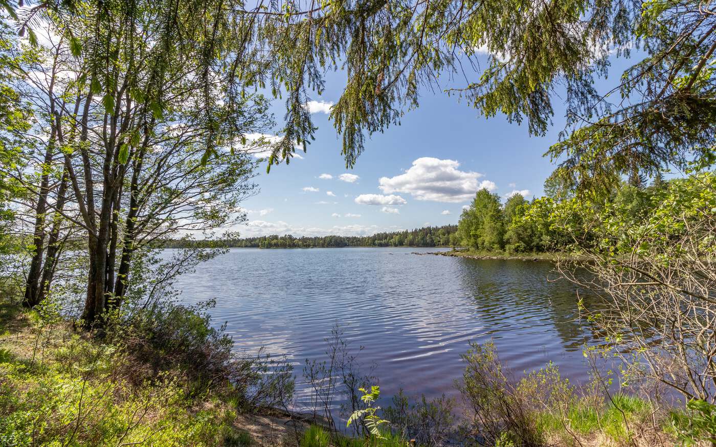 Försebo Ön in der Region Småland – bild 17 av 19