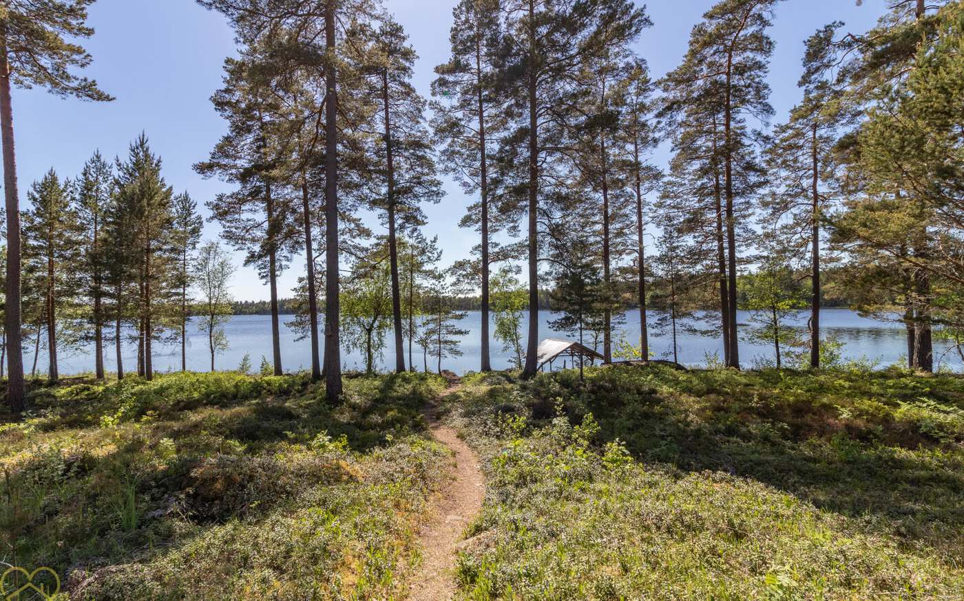 Försjön in einsamer Lage am See – bild 12 av 13
