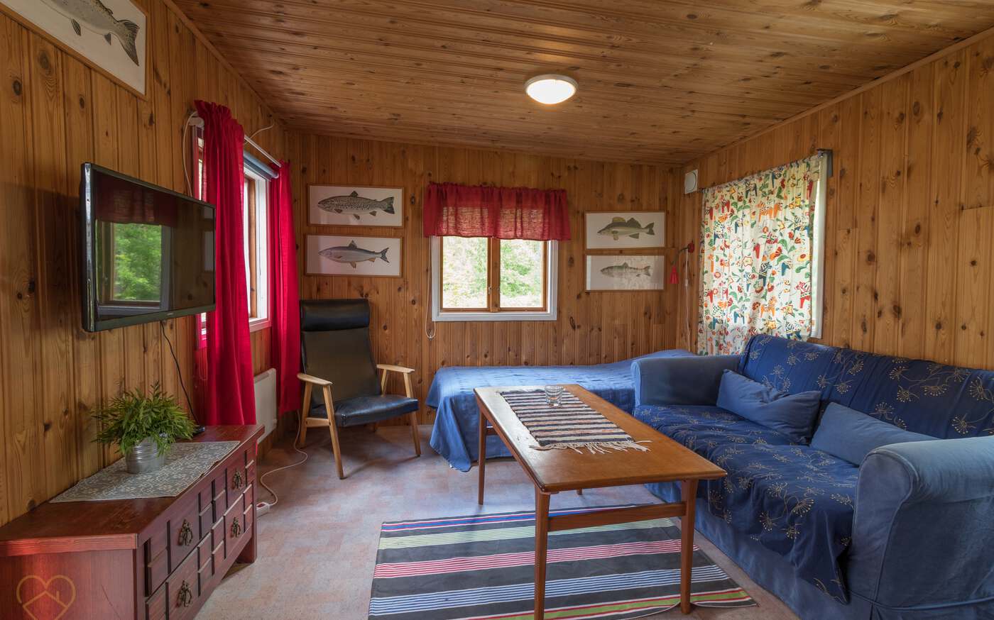 Hackspetten in Småland – bild 3 av 7