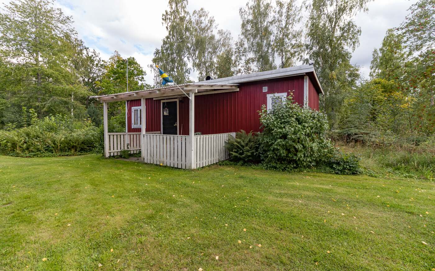 Hackspetten in Småland – bild 2 av 7