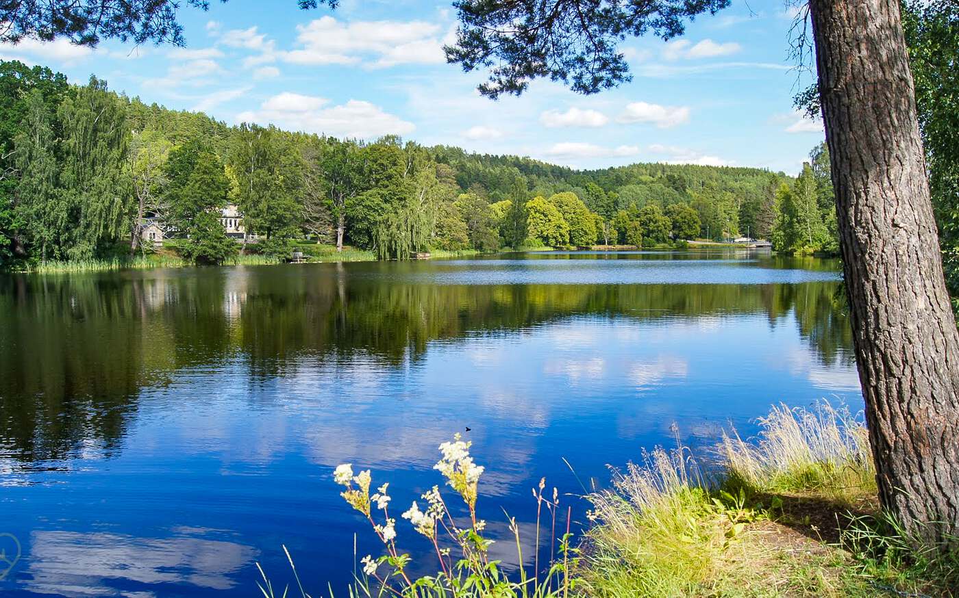 Hällefors in Silverdalen - Region Småland – bild 24 av 24
