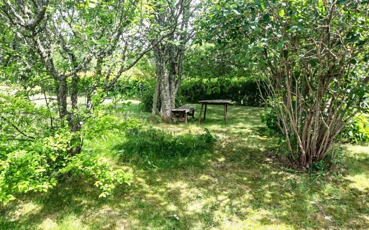 Klaveström in der schwedischen Region Småland – bild 3 av 15