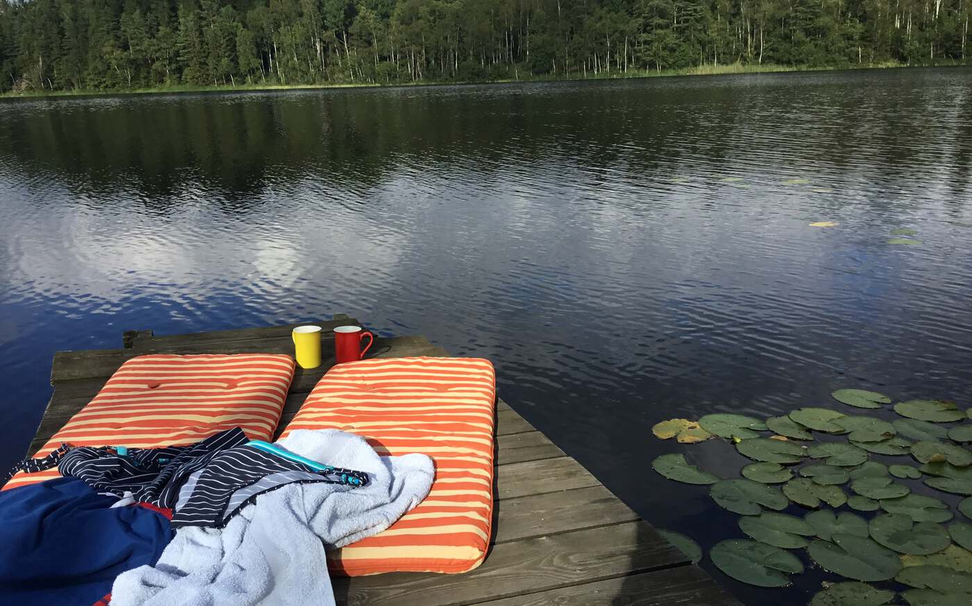 Kurtibo in Västergötland – bild 17 av 19