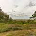 Blick auf die Ostsee vom Garten Ferienhaus Långasand