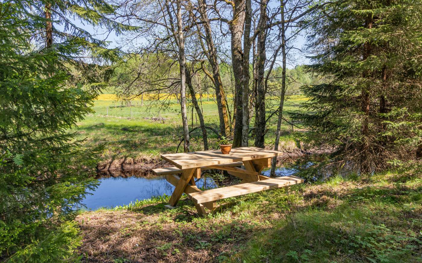 Lilla Hagasjön in Västergötland – bild 14 av 17