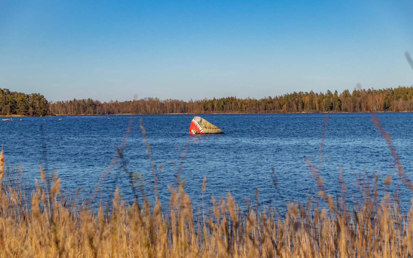 Stora Ryd in Südschweden – bild 22 av 22