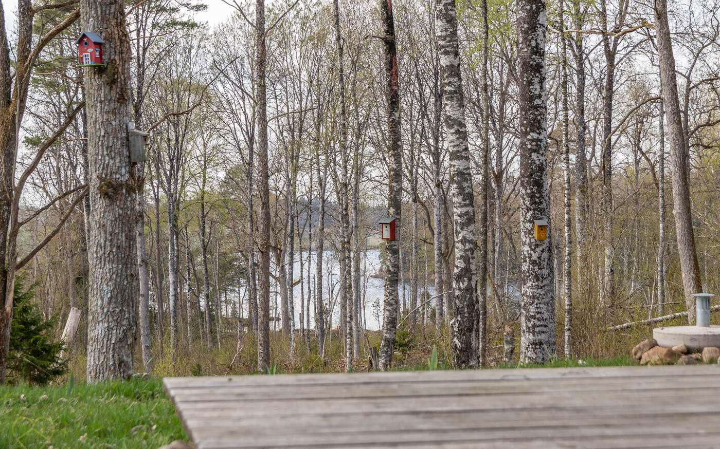 Nygårdsnäs bei Sävsjö in der Region Småland – bild 15 av 23