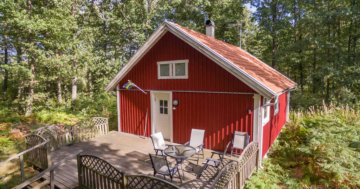 Räven in Småland