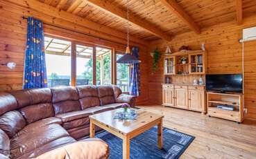 Wohnbereich mit TV und Kamin Ferienhaus Saltkråkan