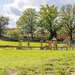 Kinderspielplatz mit Trampolin