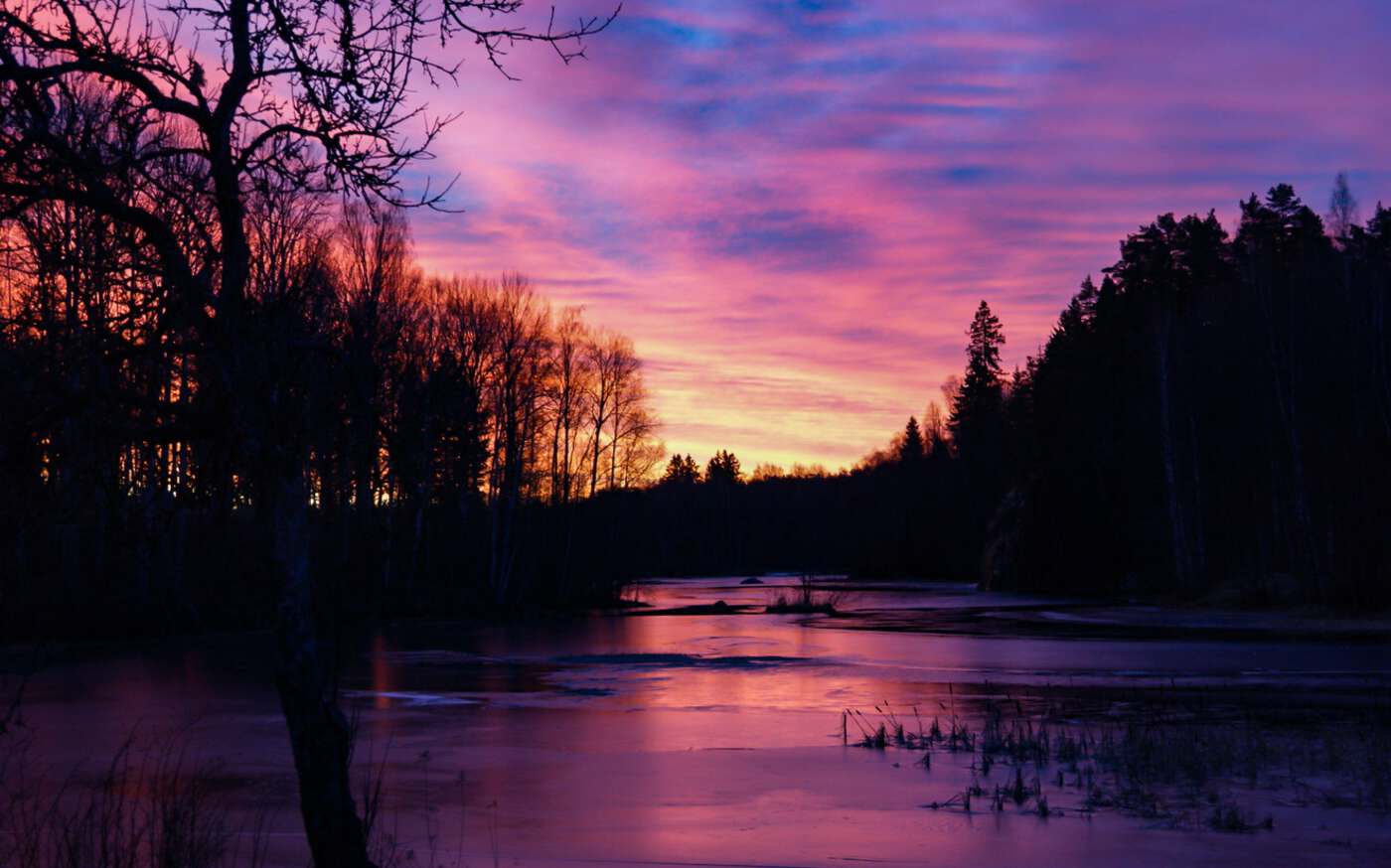 Silverån im Ort Lönneberga in der Region Småland – bild 24 av 24