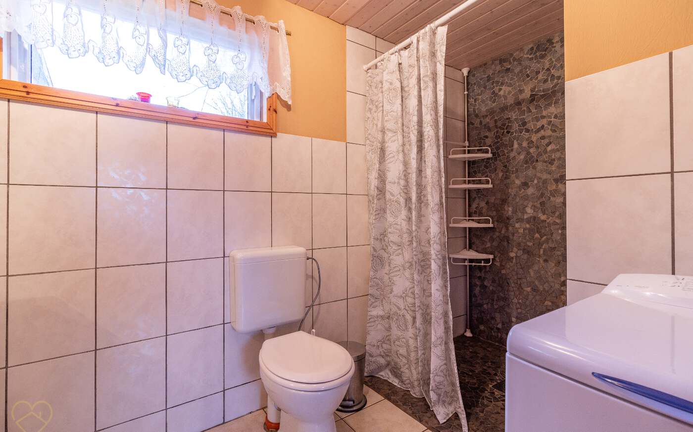 Stora Hagasjön in Västergötland – bild 9 av 21