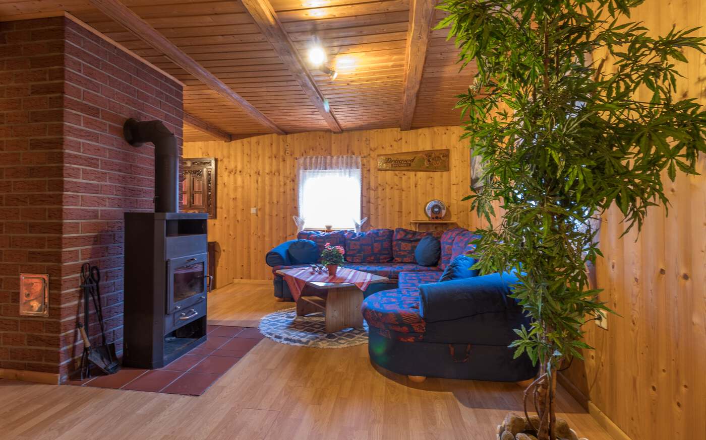 Stora Hagasjön in Västergötland – bild 6 av 21