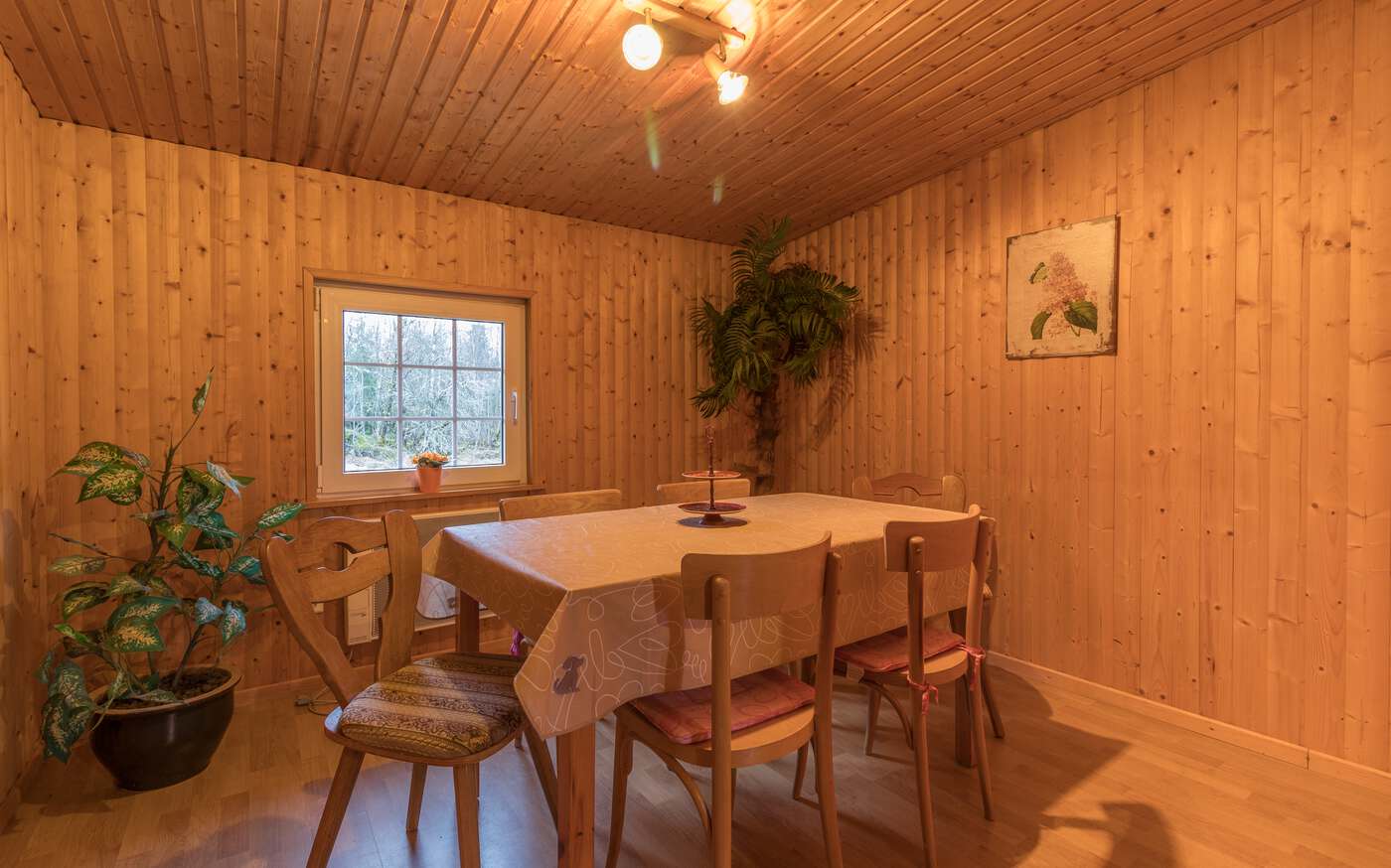 Stora Hagasjön in Västergötland – bild 8 av 21