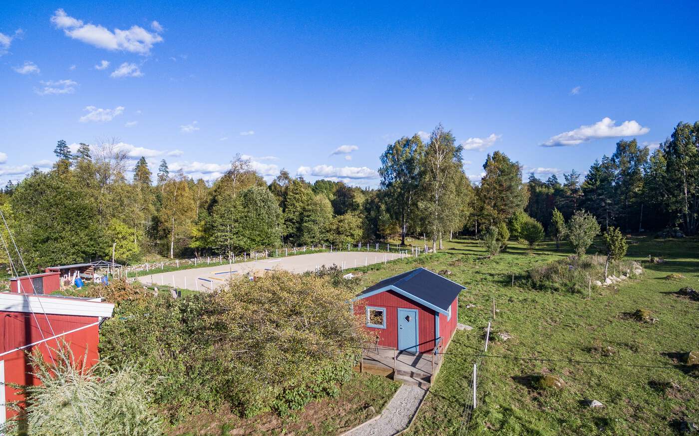 Texas auf einer Ranch in Südschweden – bild 2 av 7