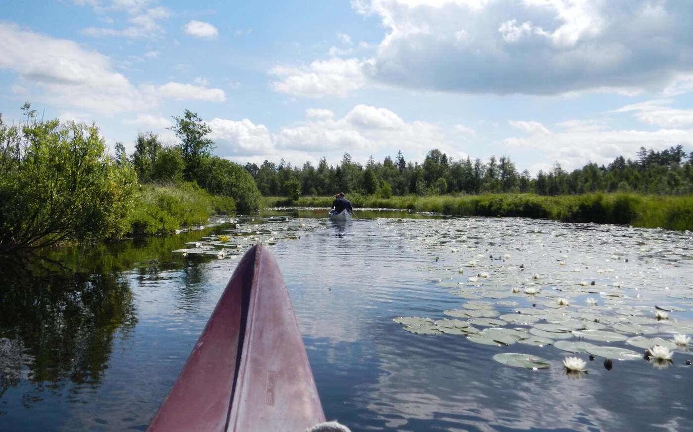 Vedamåla in Småland – bild 13 av 24