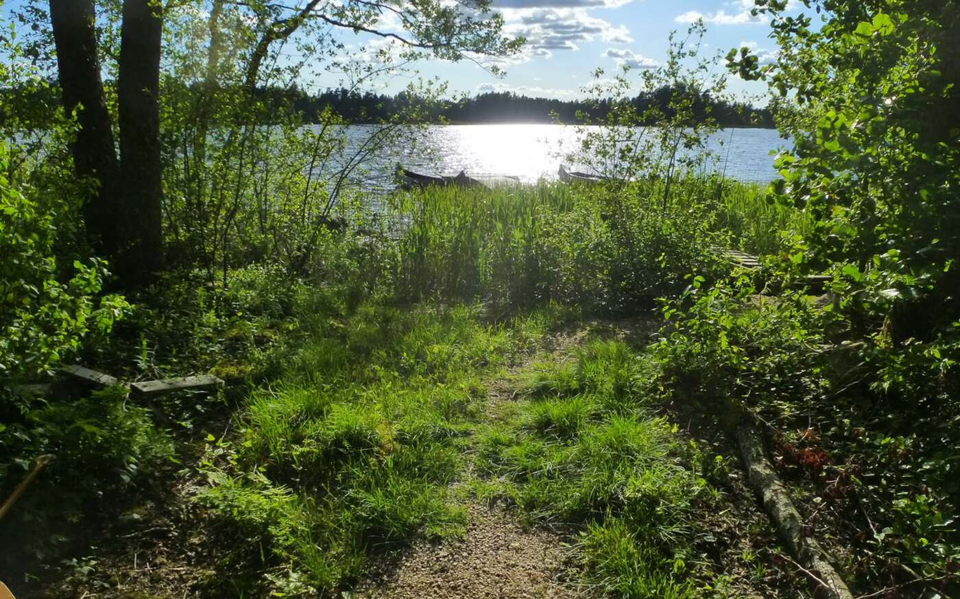 Vedamåla in Småland – bild 12 av 24