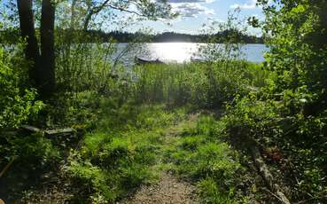 Weg zum See Ferienhaus Vedamåla