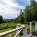 Blick von der Terrasse Ferienhaus Waldschule