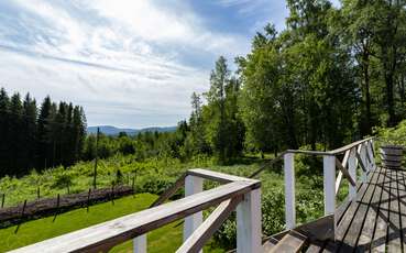 Blick von der Terrasse Ferienhaus Waldschule