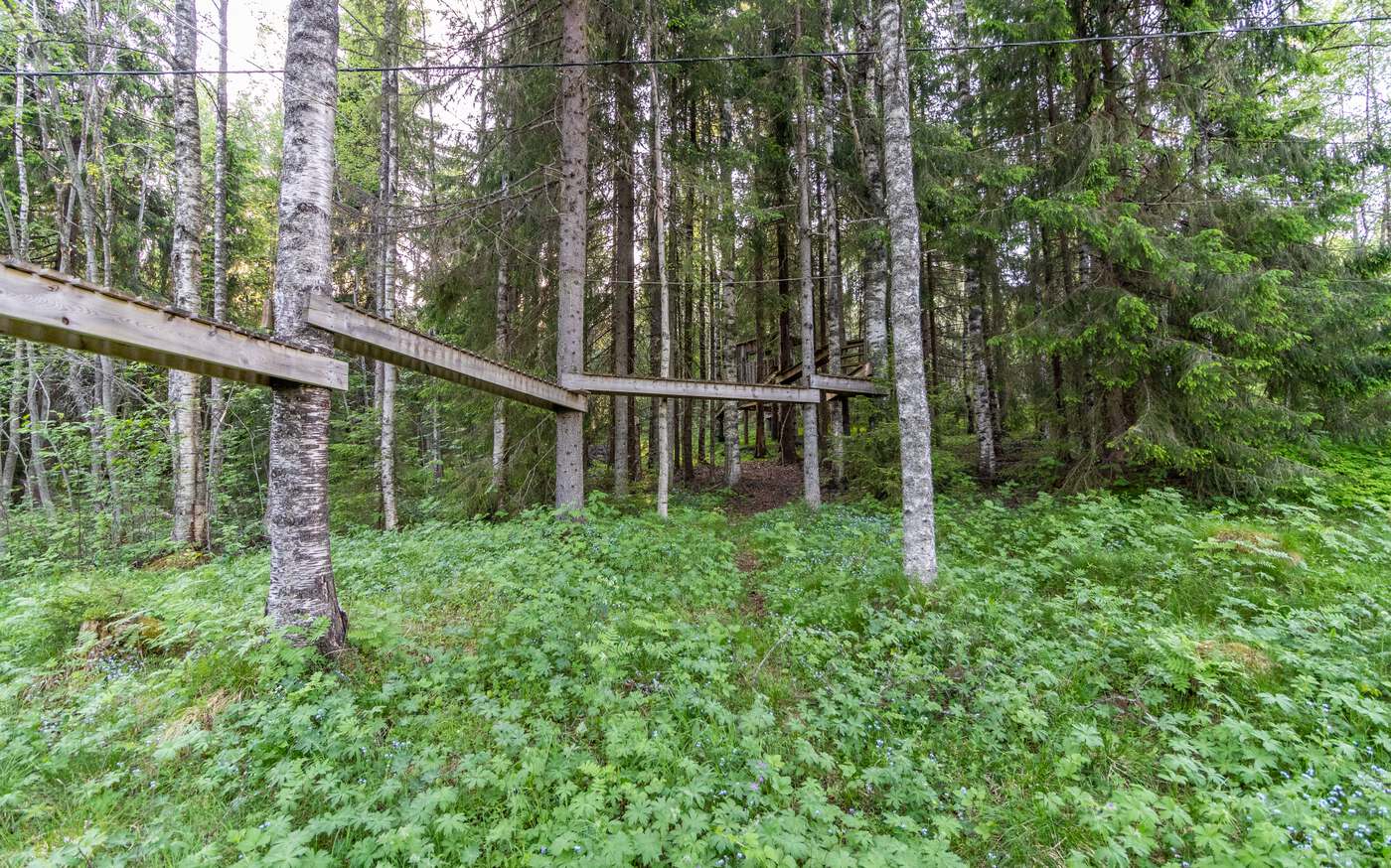 Waldblick in der Region Värmland – bild 14 av 15