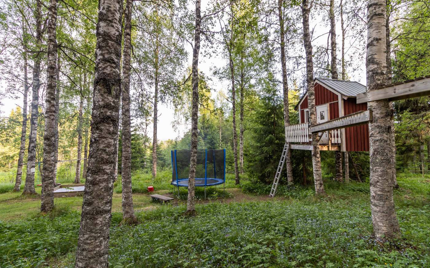 Waldblick in der Region Värmland – bild 15 av 15